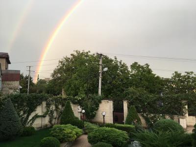 Прикрепленное изображение: IMG_9583.jpeg